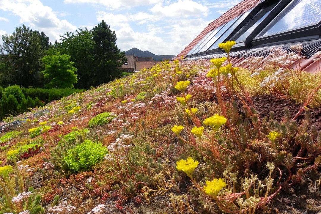 Photo of Others in Loos-en-Gohelle