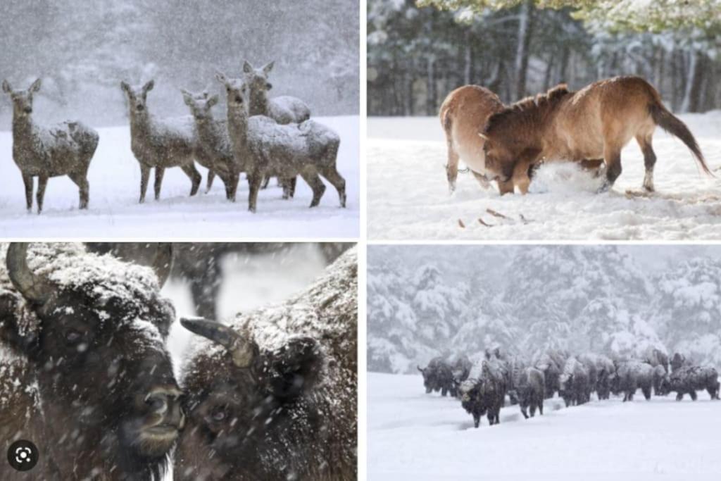 Photo of Others in Thorenc