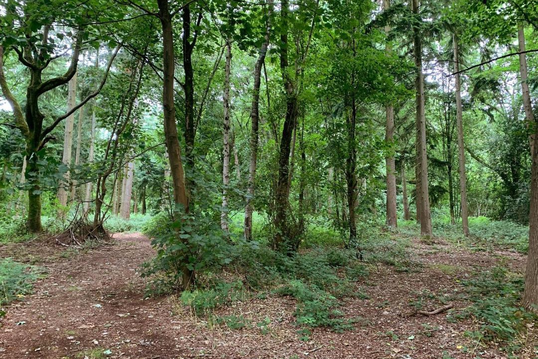 Photo of Outdoor in Bromham