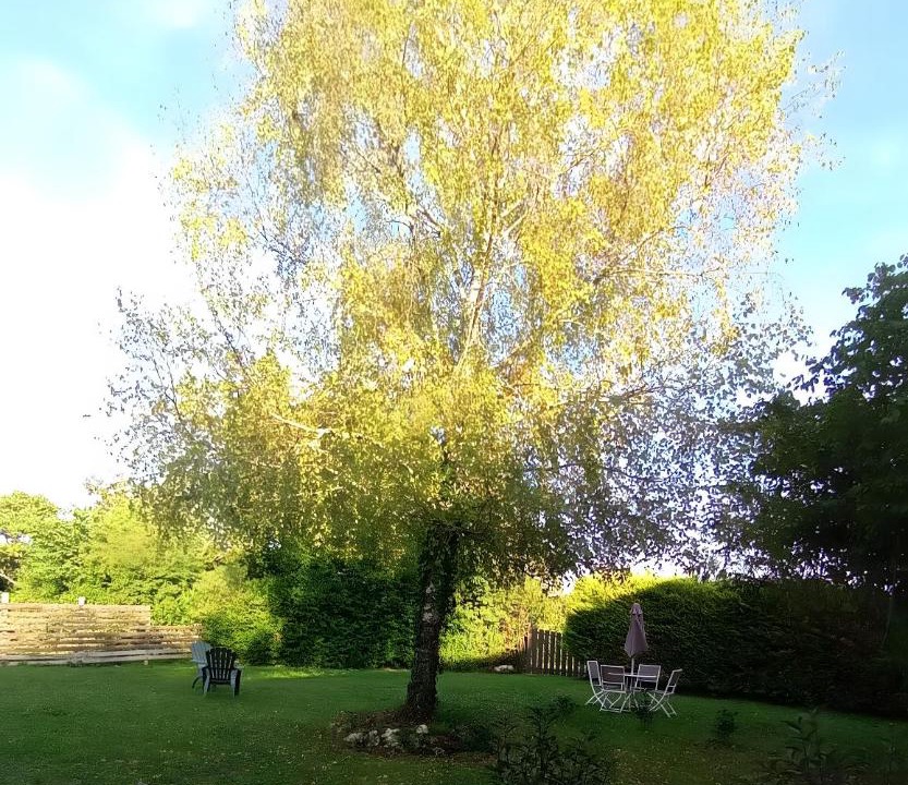 Photo of Others in Riberac