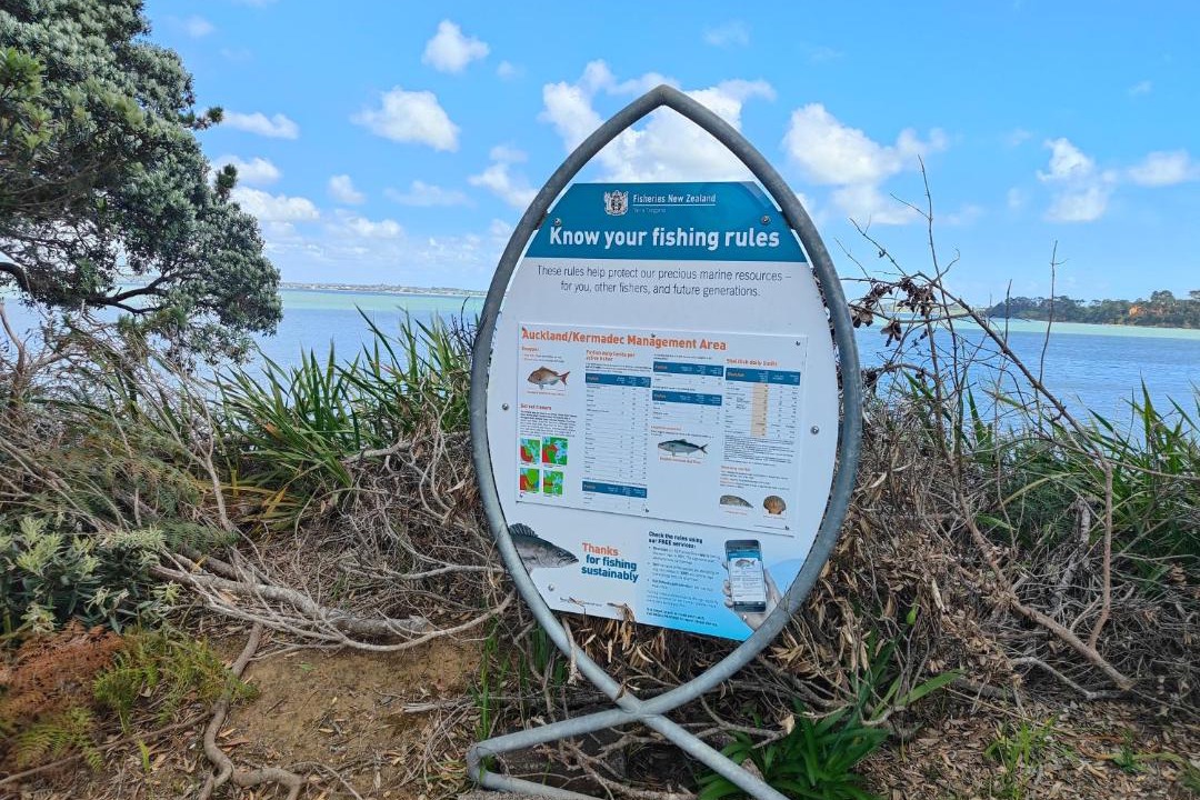 Photo of Others in Awhitu