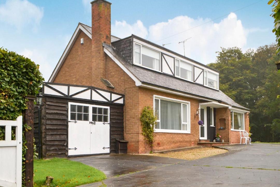 Photo of Others in Warkworth