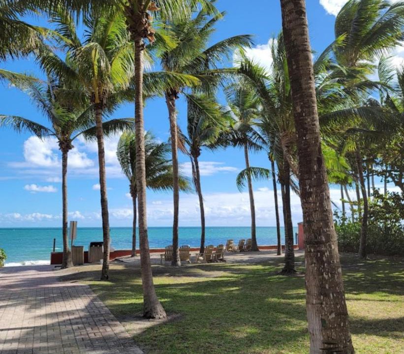 Photo of Others in Key Biscayne