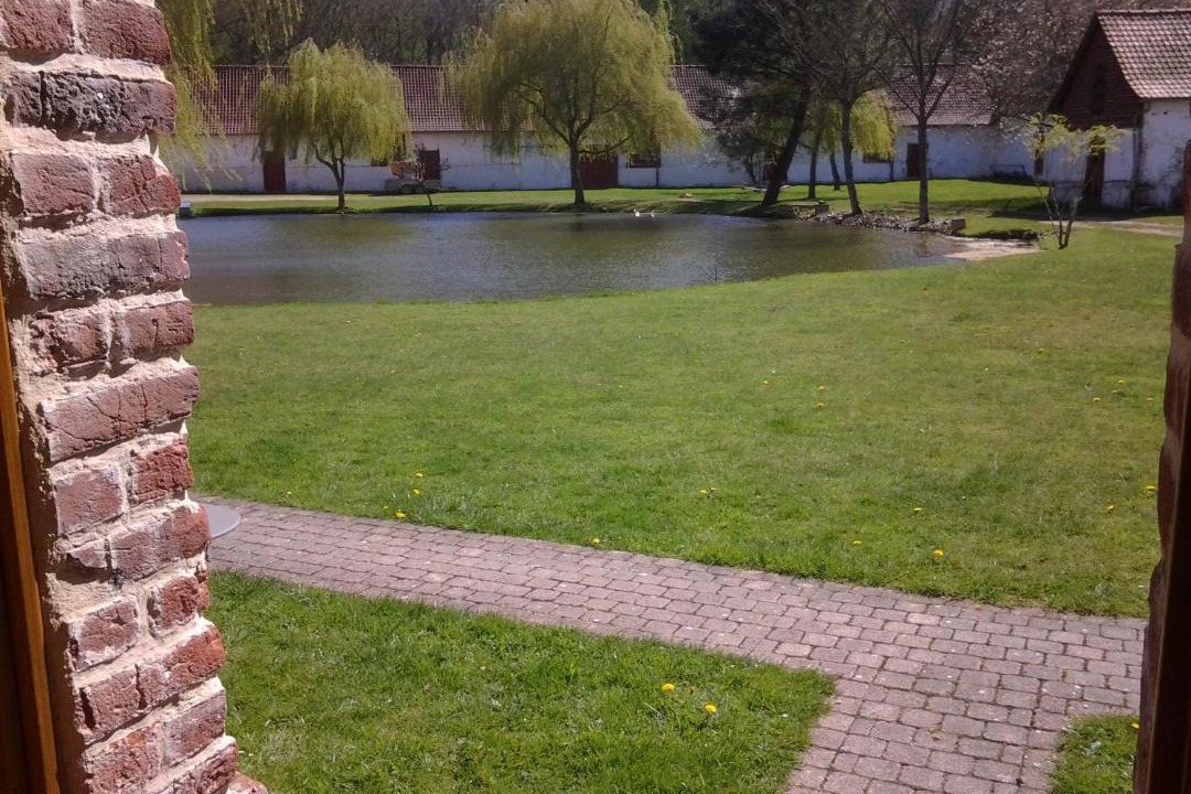 Photo of Others in Lepine