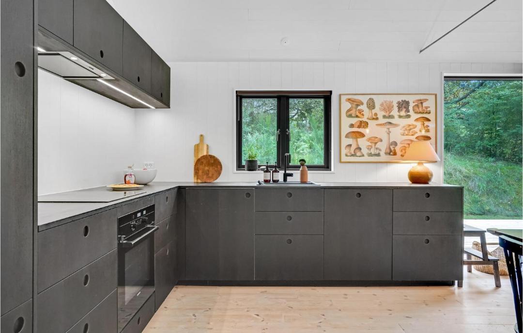 Photo of Kitchen in Faarevejle