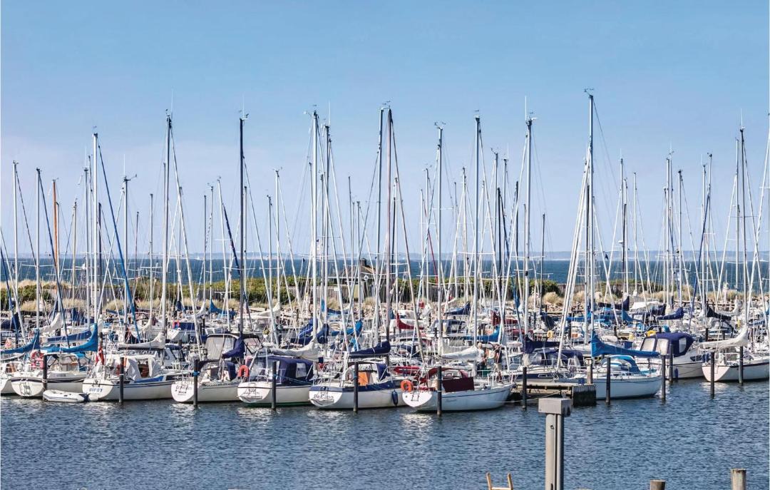 Photo of Others in Bogense