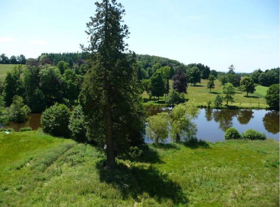 Photo of Others in Saint-Maixant