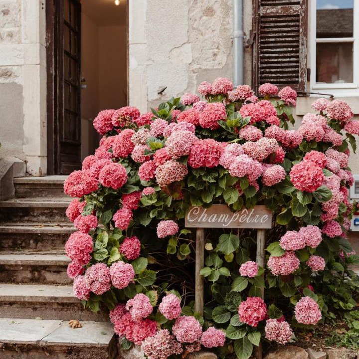 Photo of Others in Lantignie