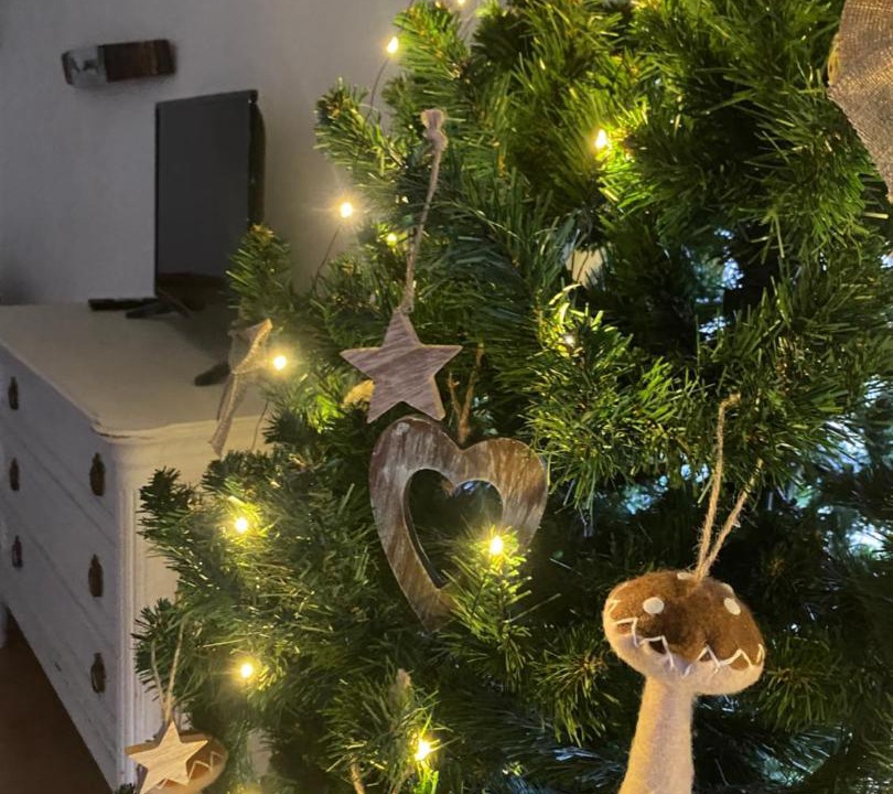 Photo of Others in Thury