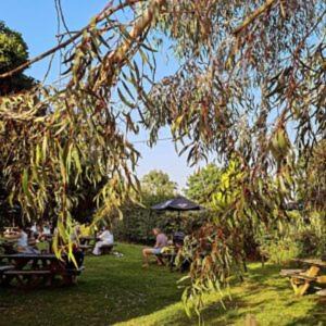 Photo of Outdoor in Ower