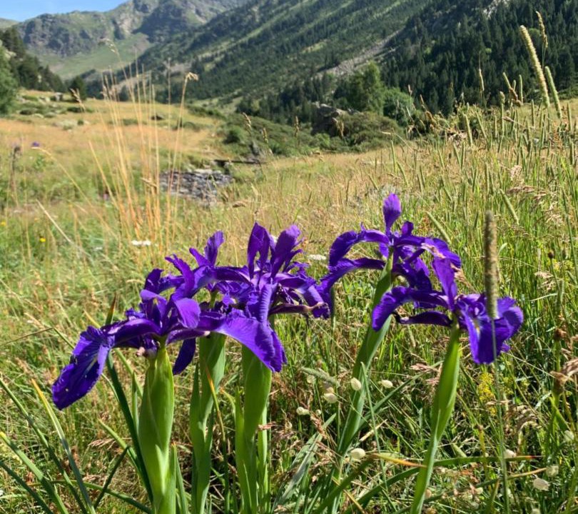 Photo of Outdoor in Ordino