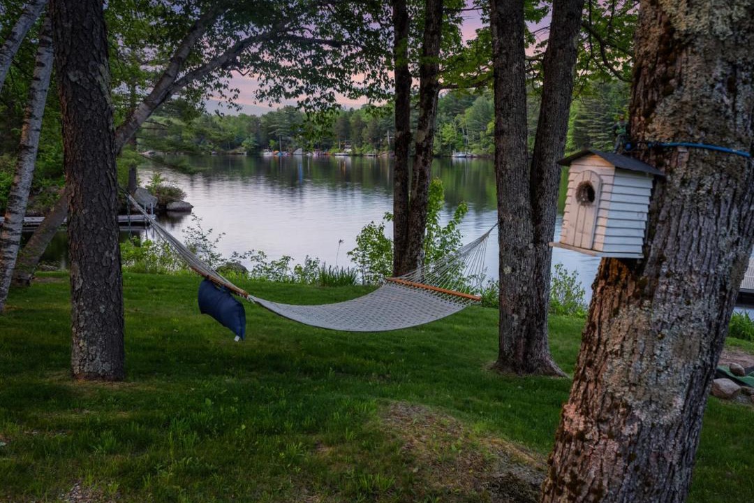 Photo of Others in Stoddard