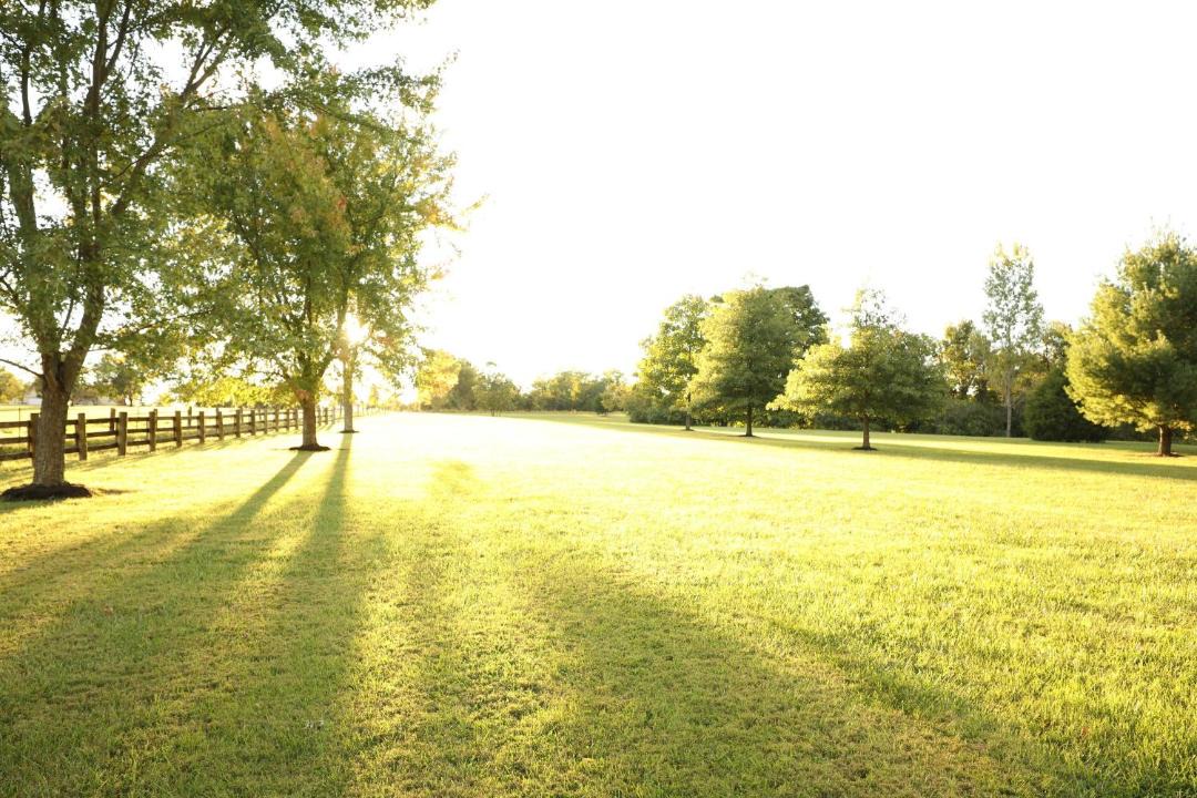 Photo of Outdoor in Pierceville