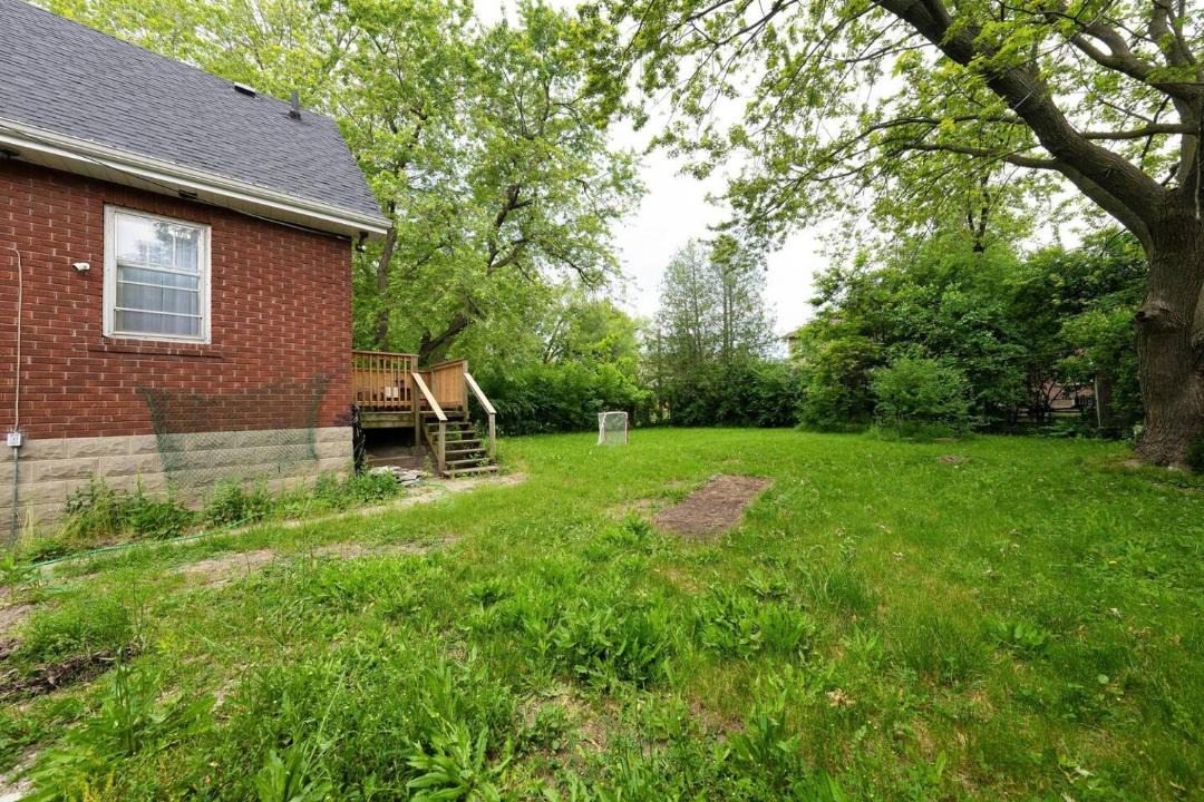 Photo of Others in Newtonbrook