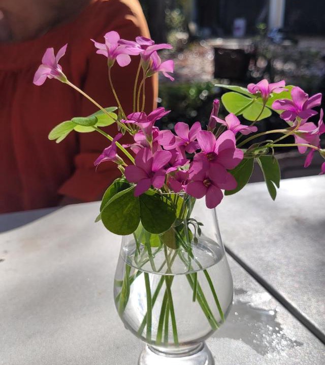 Photo of Others in Couiza