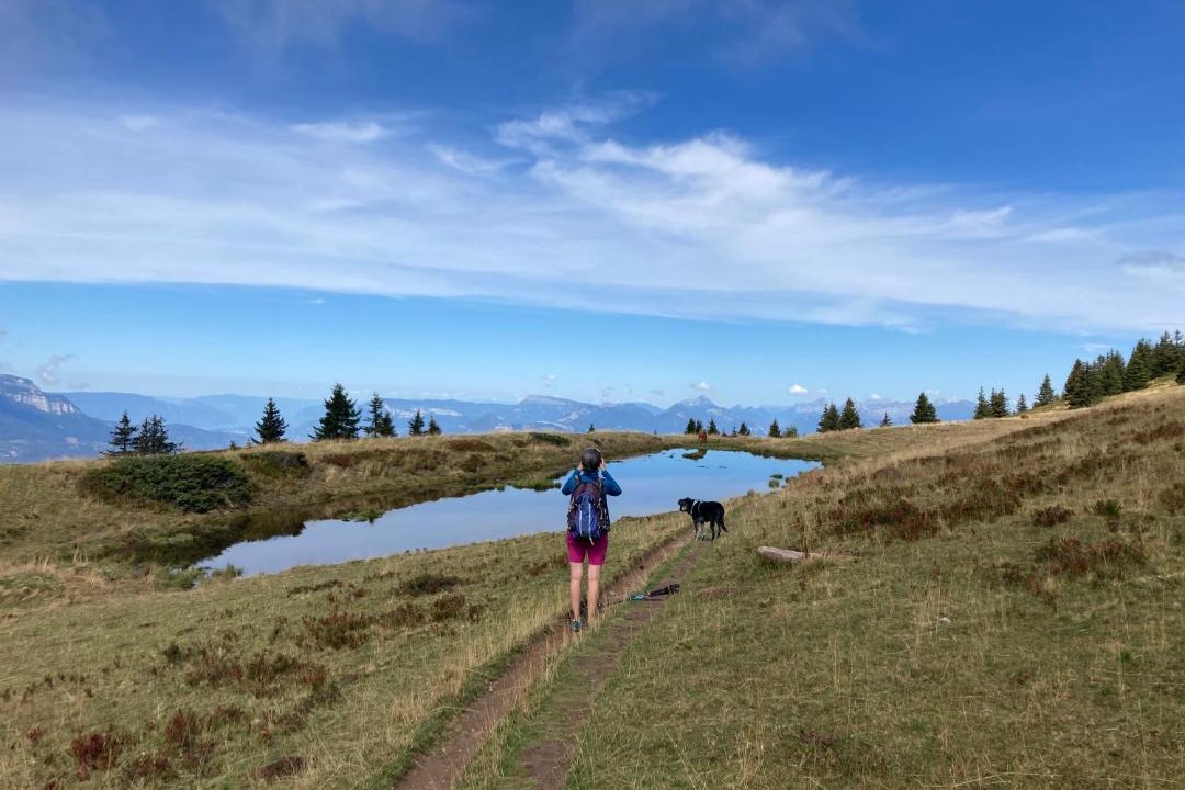 Photo of Others in Allevard