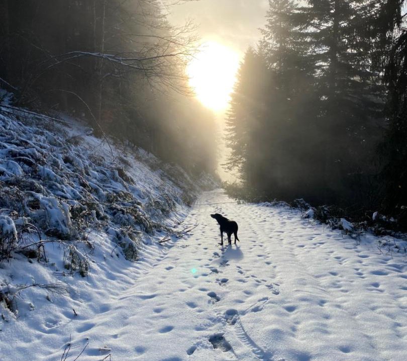 Photo of Others in Allevard