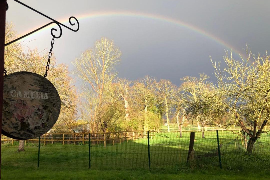 Photo of Others in Noyal-Chatillon-sur-Seiche