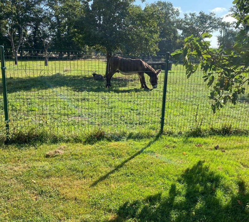Photo of Others in Noyal-Chatillon-sur-Seiche