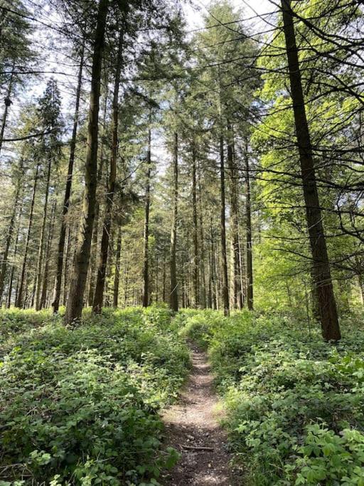 Photo of Others in Checkendon