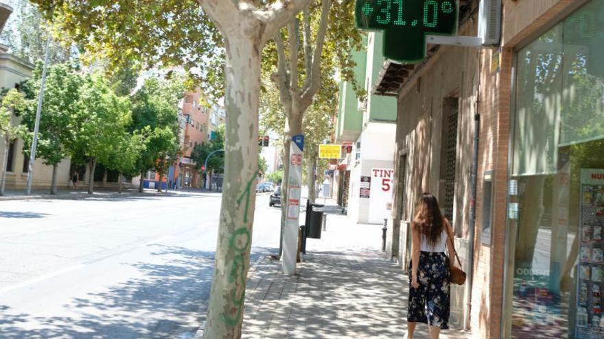 Photo of Others in Alicante
