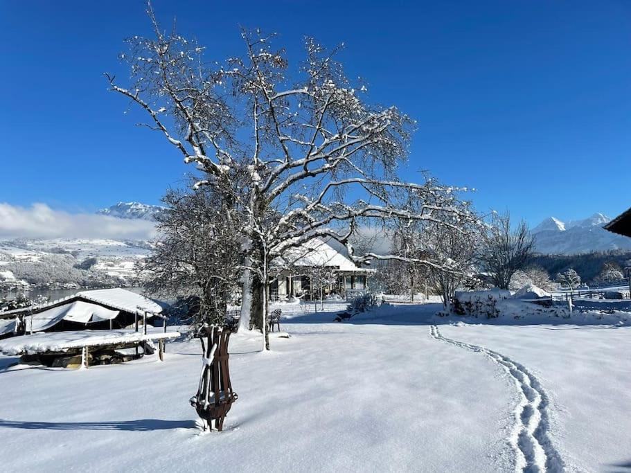 Photo of Others in Spiez