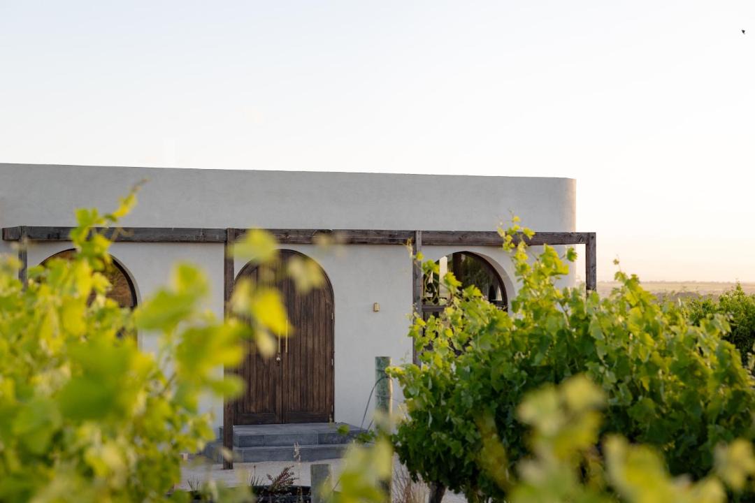 Photo of Others in McLaren Vale