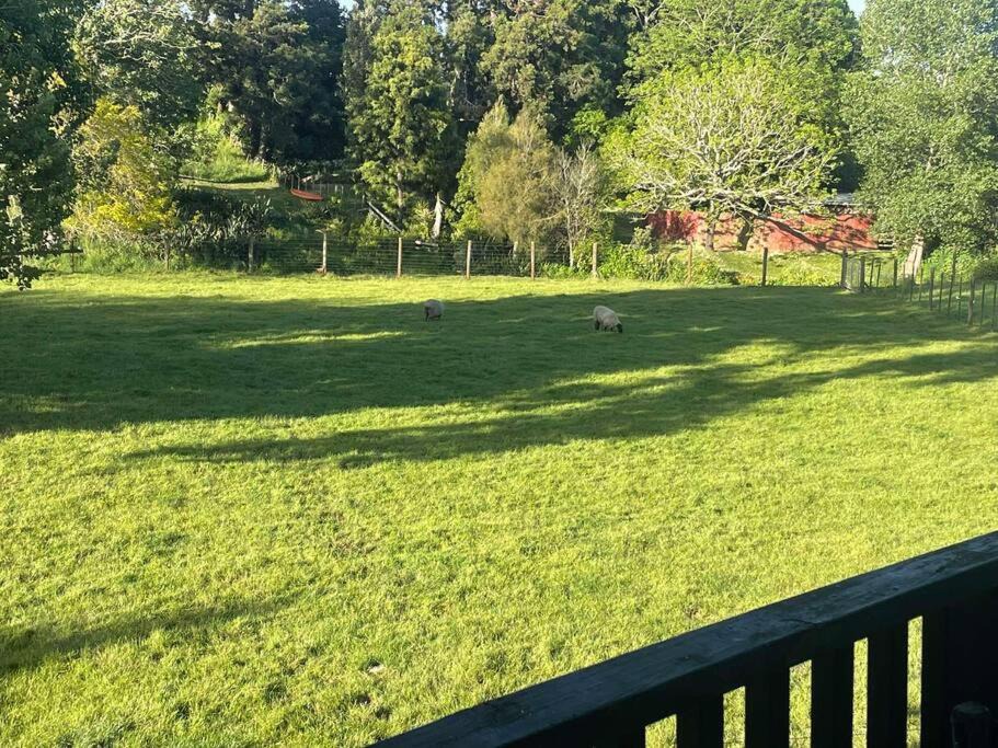 Photo of Others in Buckland