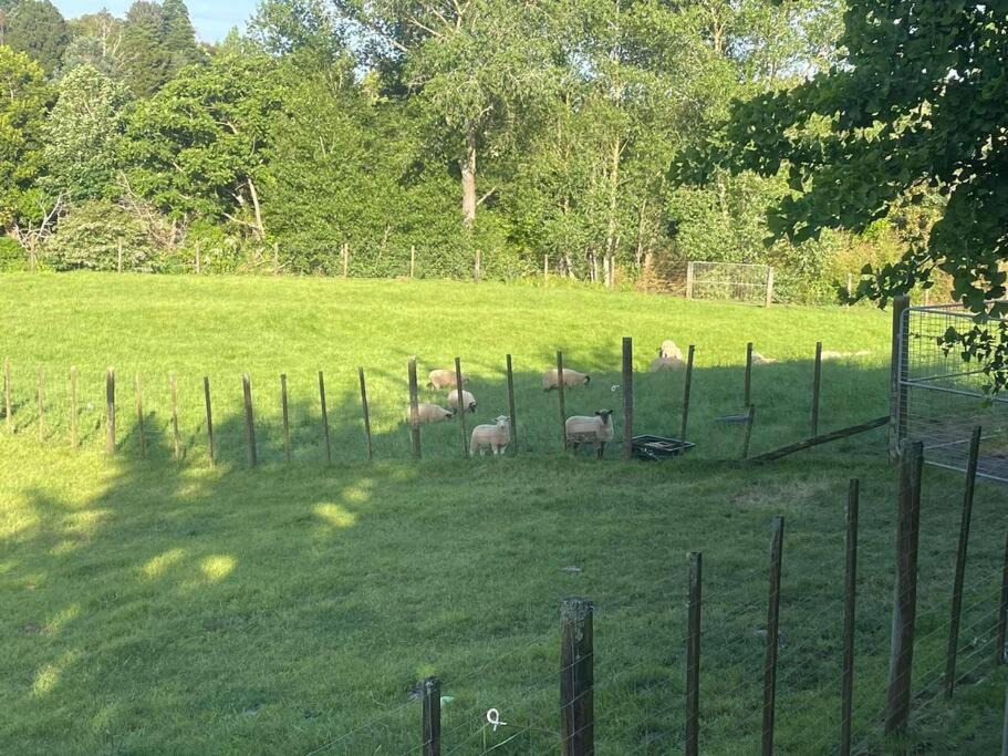 Photo of Others in Buckland