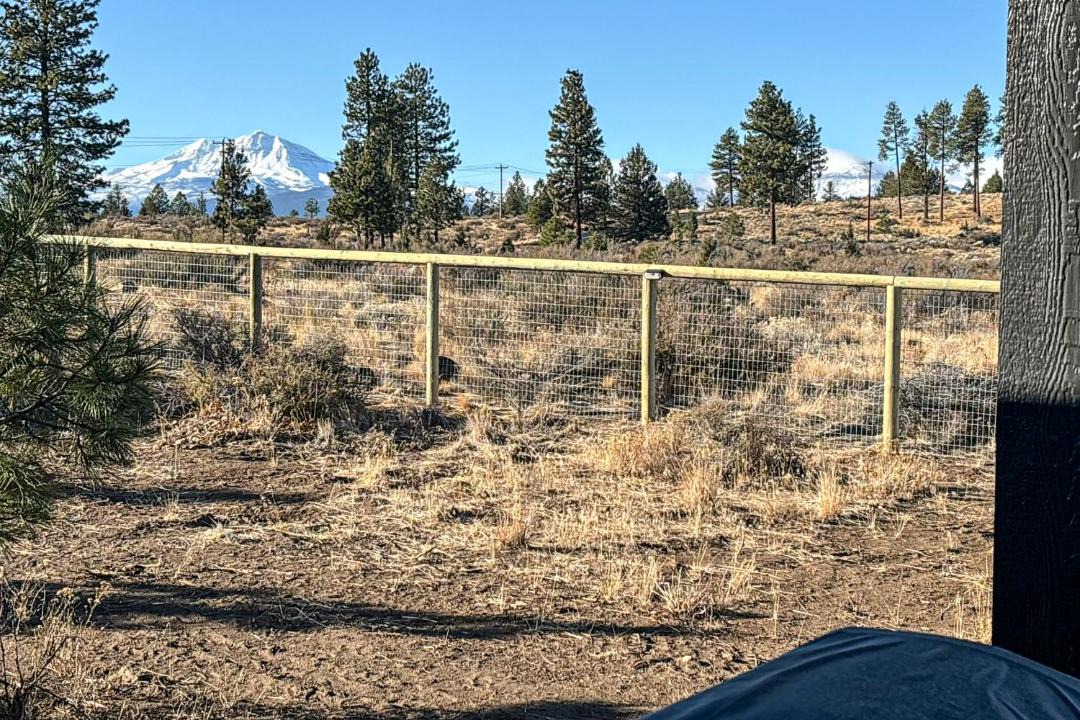 Photo of Others in Sisters