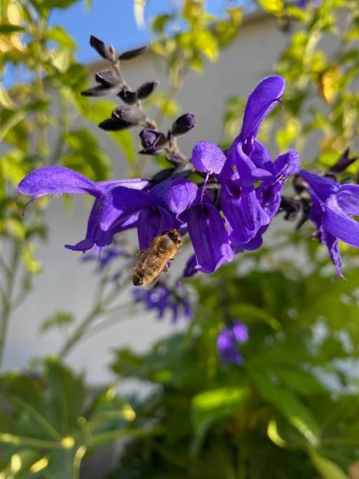 Photo of Others in Grenade