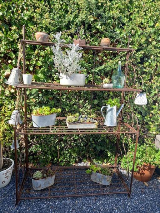 Photo of Others in Grenade