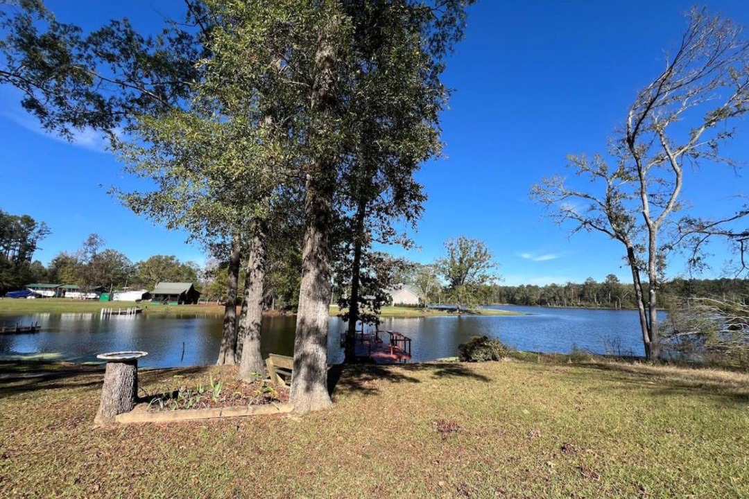 Photo of Others in Saluda