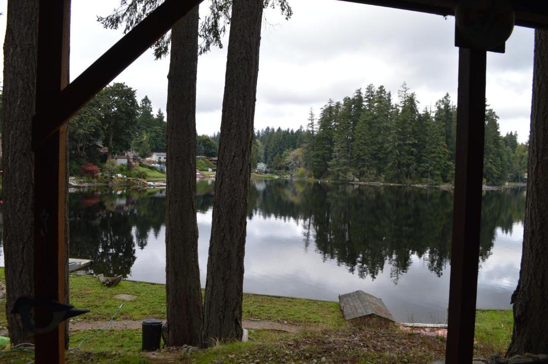 Photo of Others in Lacey