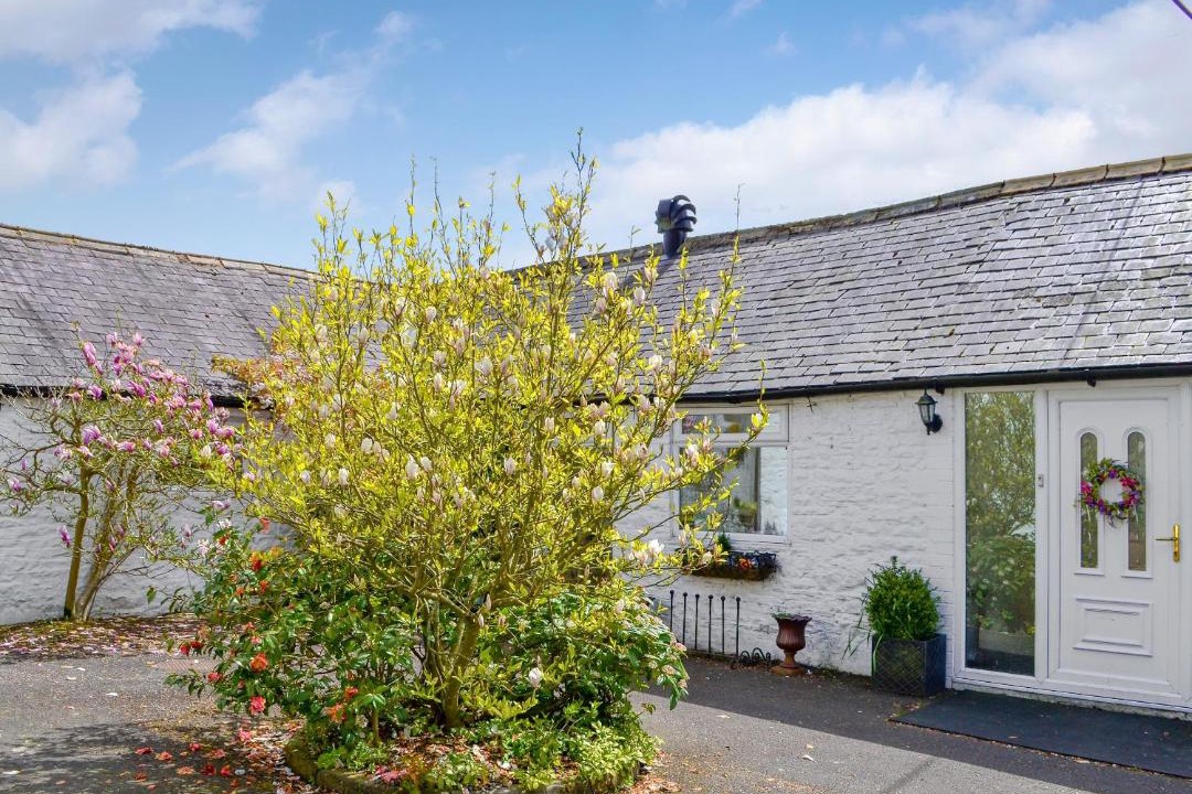 Photo of Others in Brampton