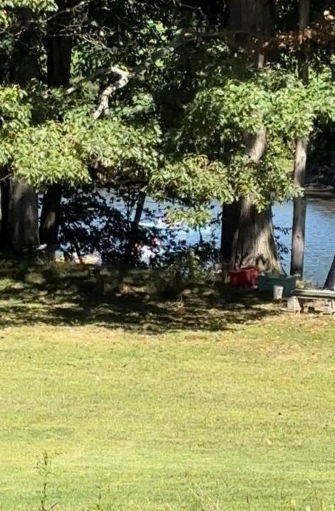 Photo of Others in Unadilla