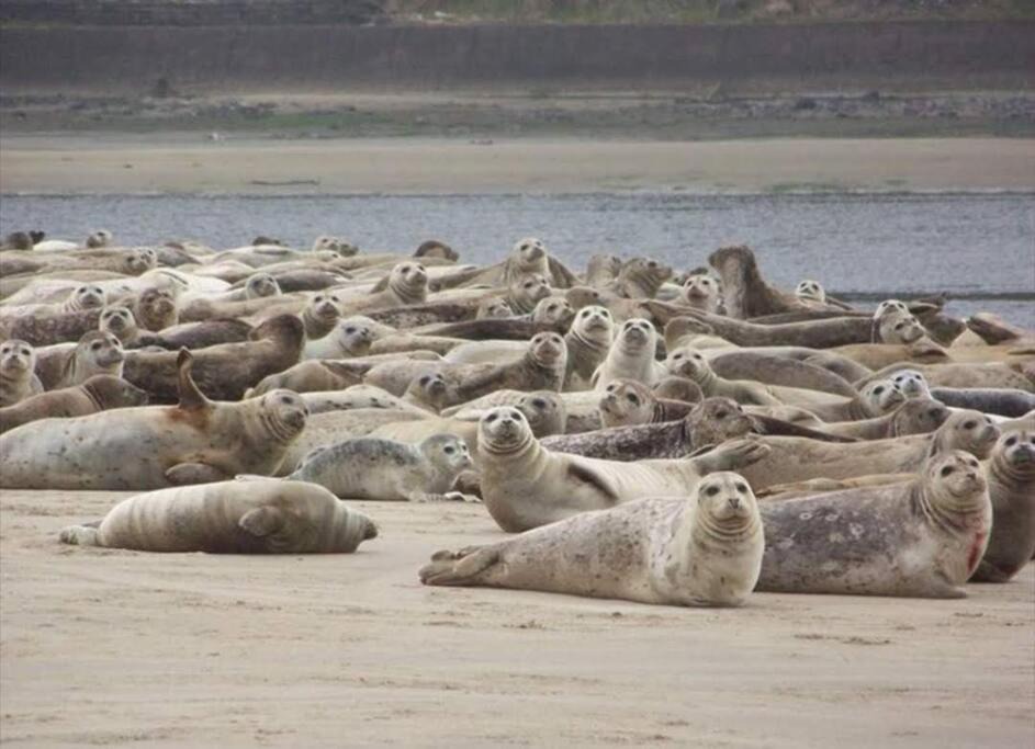 Photo of Others in Bayshore