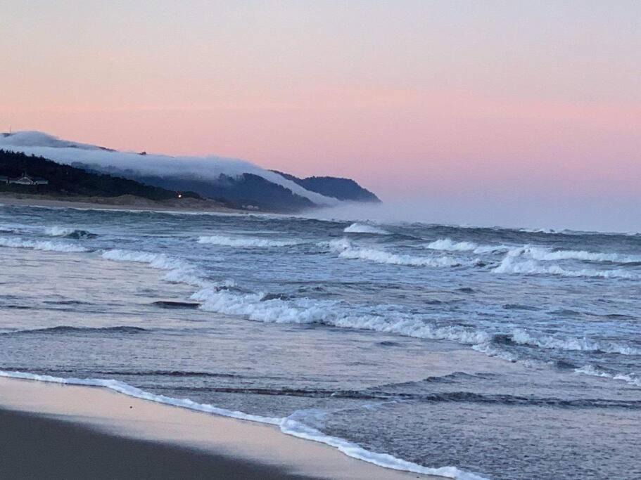 Photo of Others in Bayshore