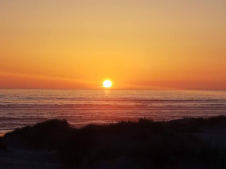 Photo of Others in Bayshore