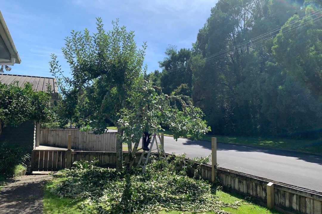 Photo of Others in Taumarunui