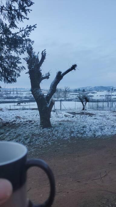 Photo of Others in Saint-Jean-Saint-Maurice-sur-Loire