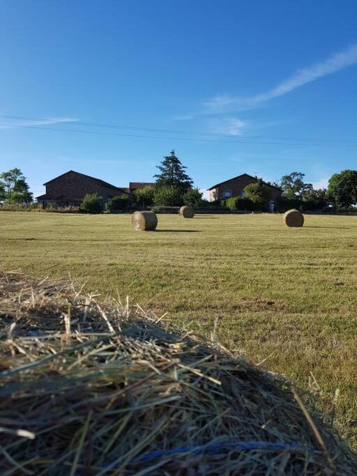 Photo of Others in Saint-Jean-Saint-Maurice-sur-Loire