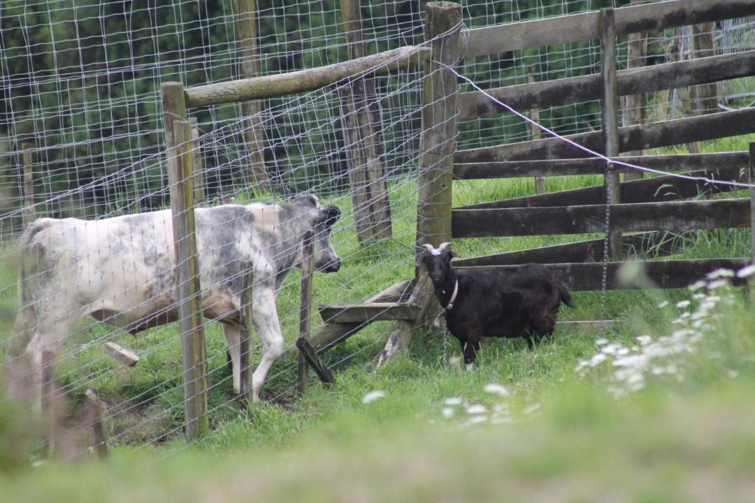 Photo of Others in Wairoa