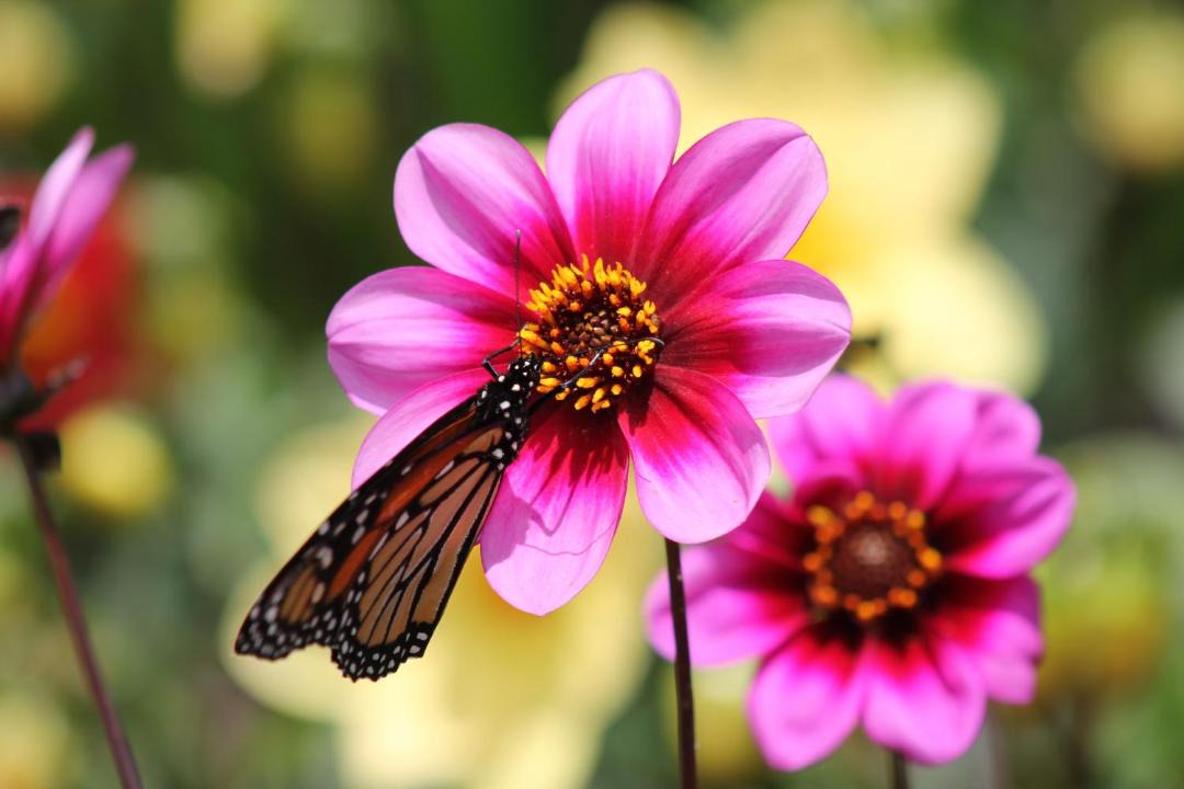 Photo of Others in Wairoa