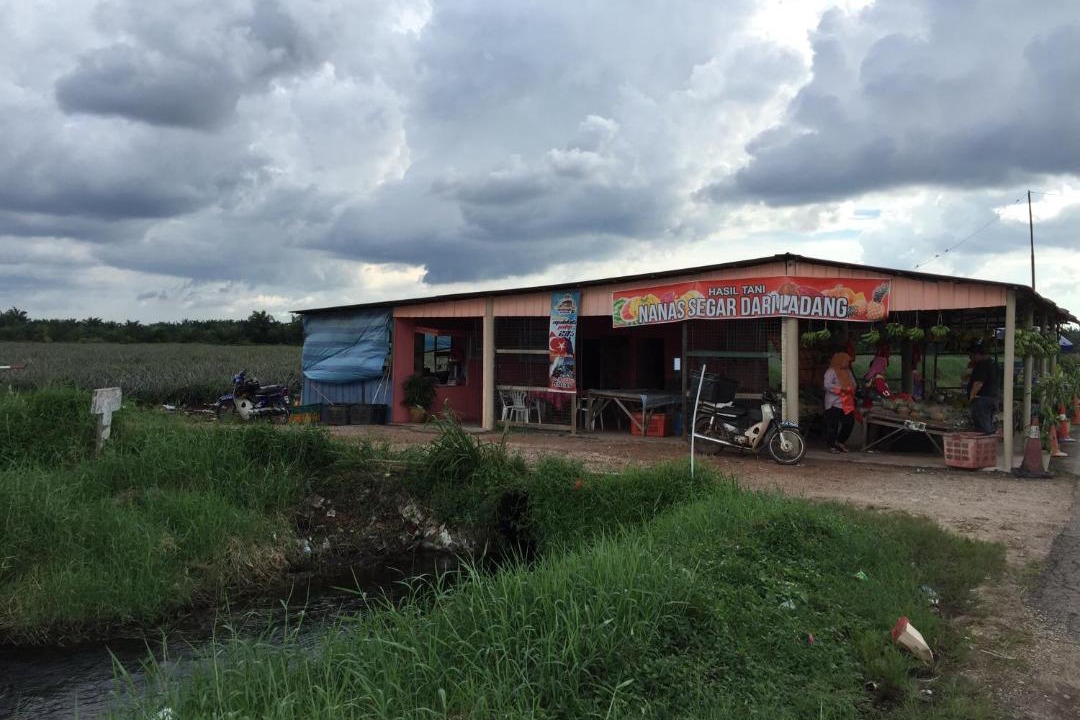Photo of Buildings in Pontian