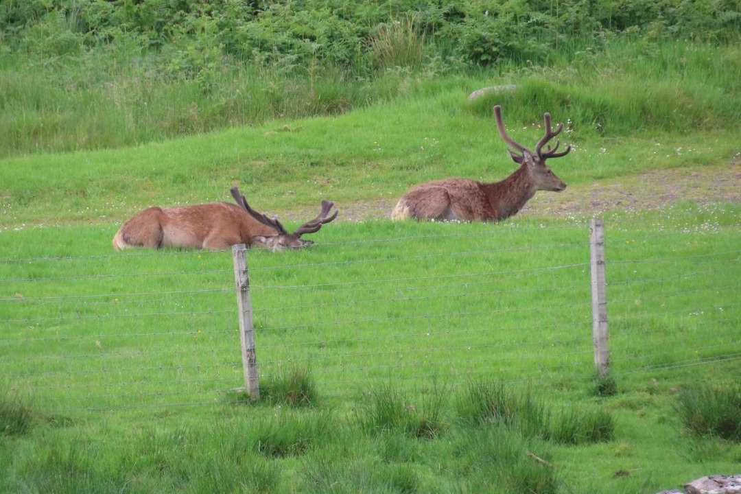 Photo of Others in Lamongerie