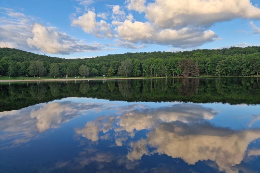 Photo of Others in Lamongerie