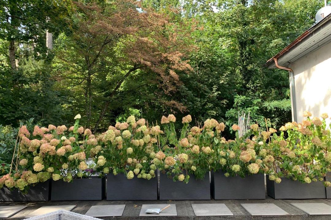 Photo of Others in Divonne-les-Bains