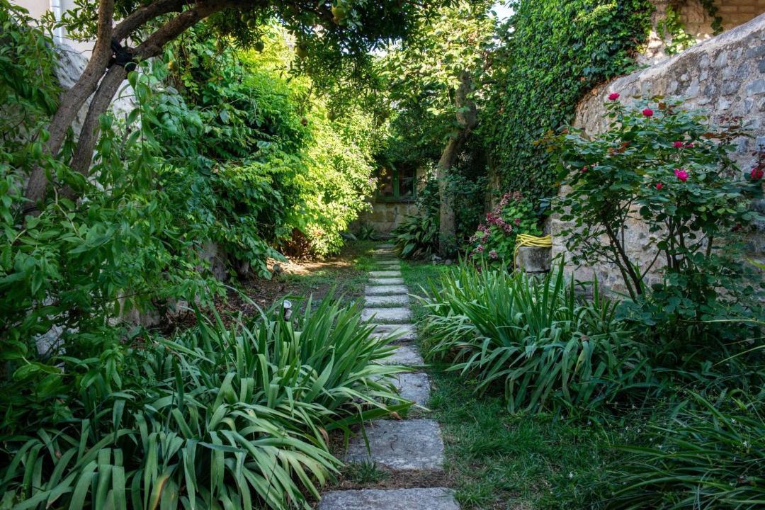 Photo of Others in Aigues-Mortes Medieval City