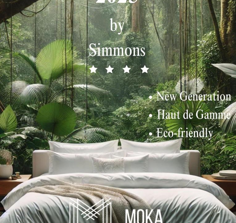 Photo of Others in Lorient